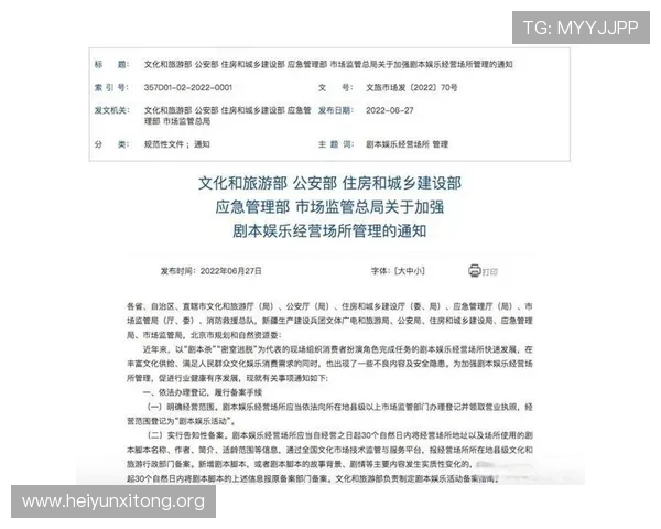 娱乐场所归公安哪个部门管理的详细职责与具体划分解析