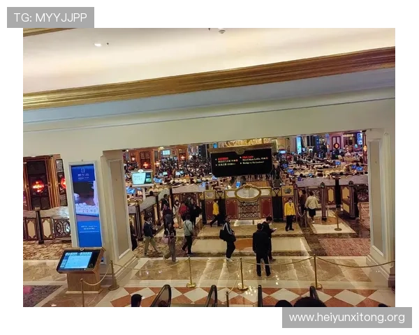 澳门贵宾厅和大厅的区别分析，帮助玩家理解不同场所的优势与适用场景