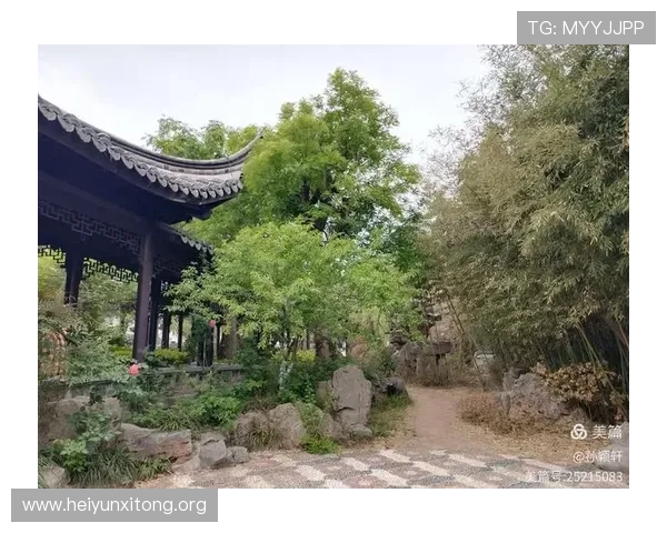 凯旋门娱乐场注册流程与新手指南帮助新手快速上手体验